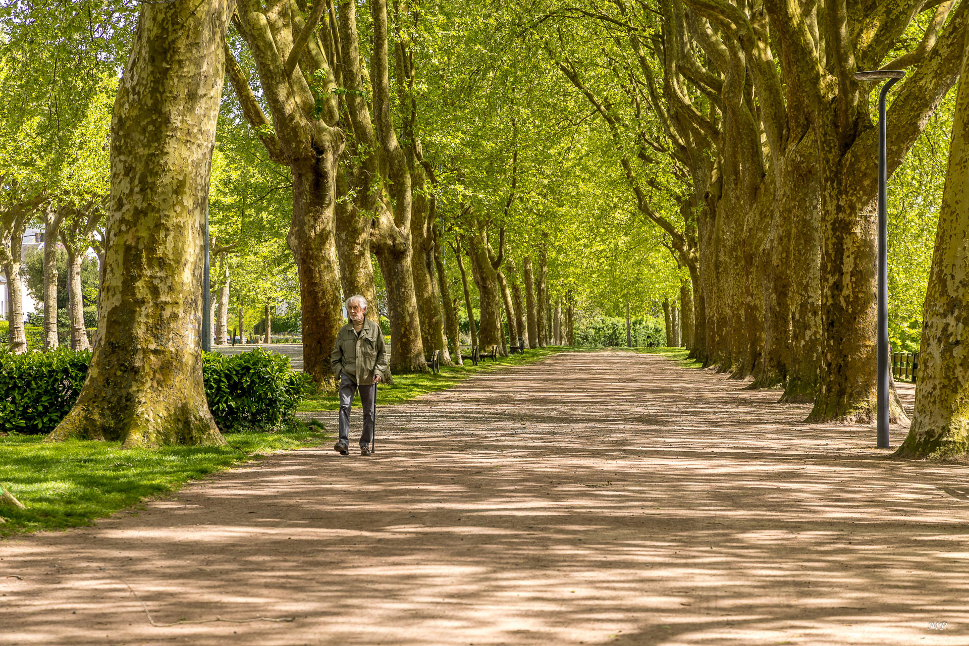 Chinon (37) - Promenade des Docteurs Mattraits