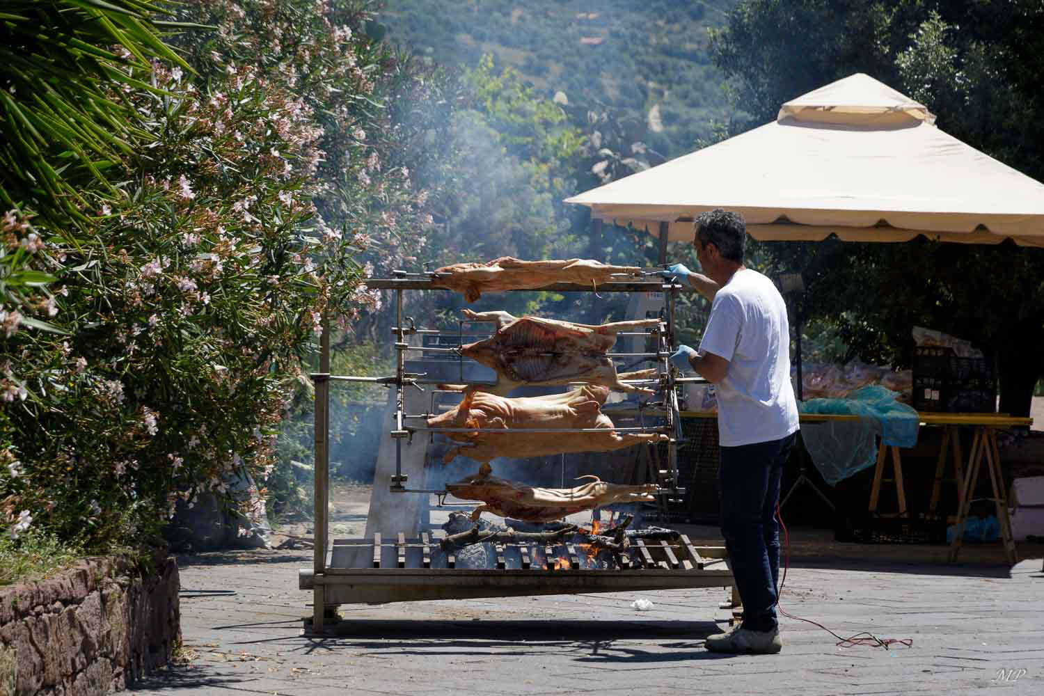 Bosa - C'est fête ce soir au pied du château alors on prépare le méchoui