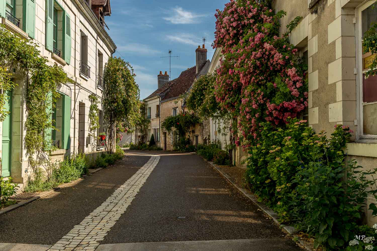 Chédigny : village fleuri (37)