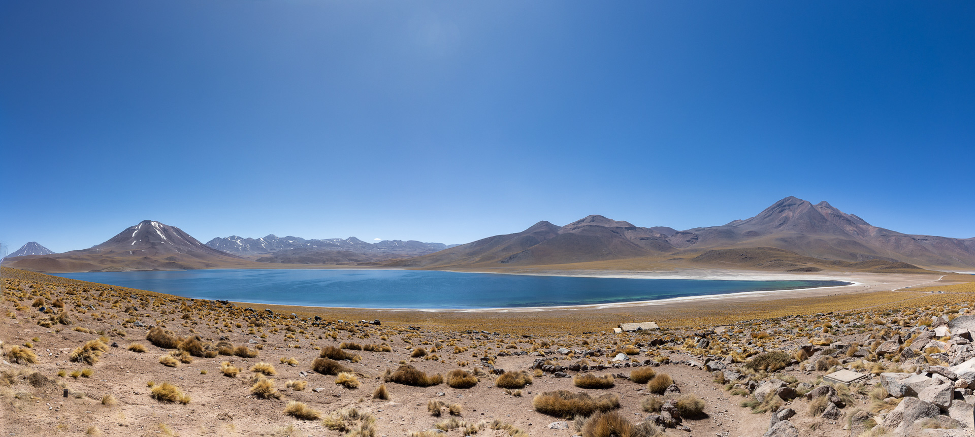 Atacama - la lagune altiplanique de Miscanti (4140m d'alt.)