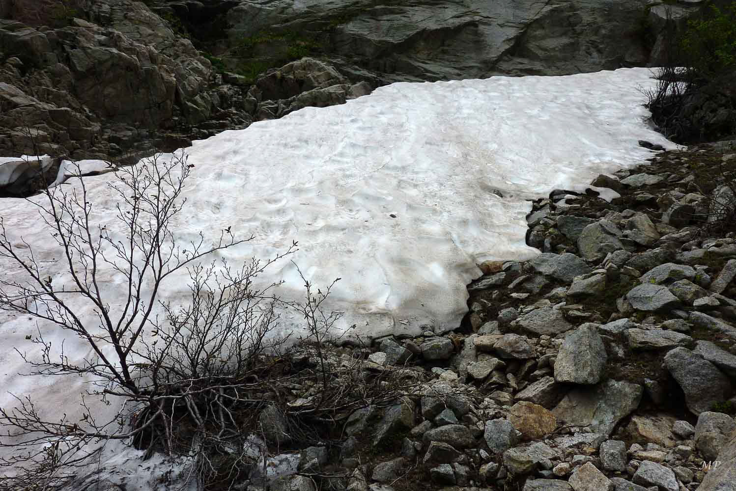 Gorges de  la Restonica
