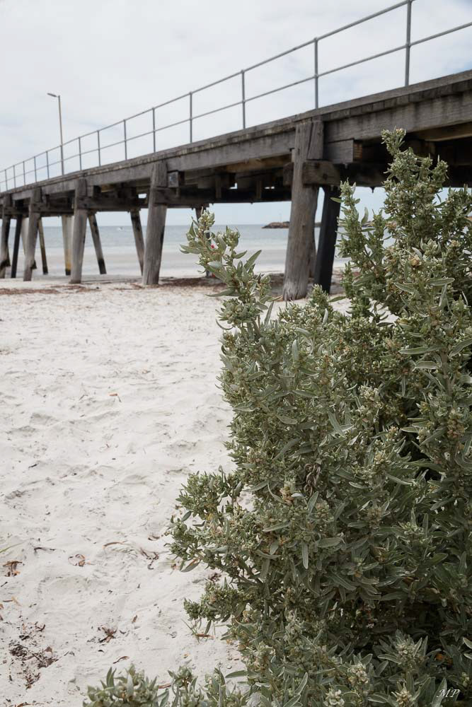 Péninsule Eyre – Port Neill