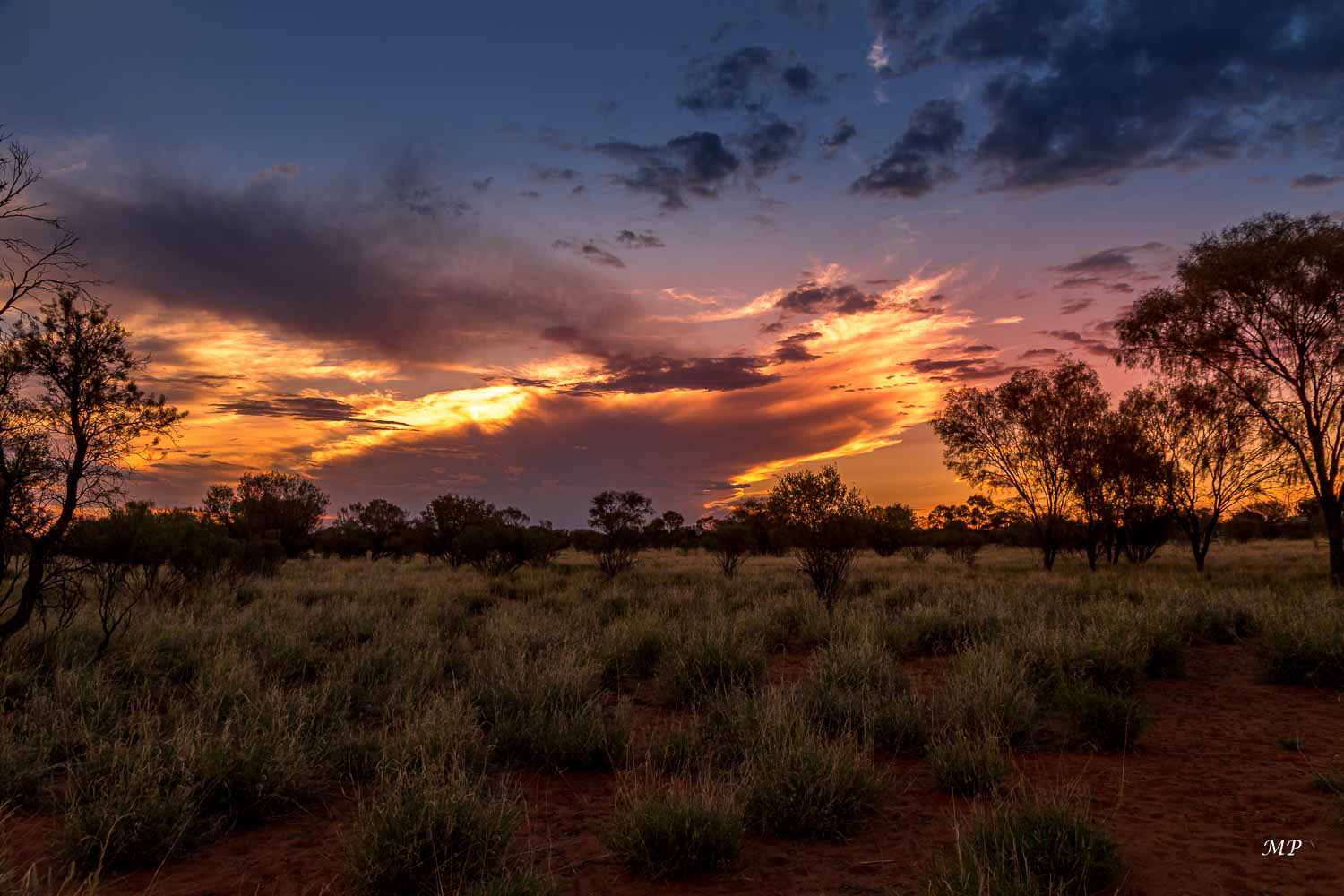 Ces buissons ras sont des spinifex. Ils jouaient un grand rôle chez les aborigènes qui ramassaient les graines, les écrasaient et les consommaient sous forme de pain de brousse. Ils utilisaient la résine pour faire de la colle, et faisaient brûler des plantes, qui dégagent en brûlant une épaisse fumée noire, pour communiquer entre eux.
