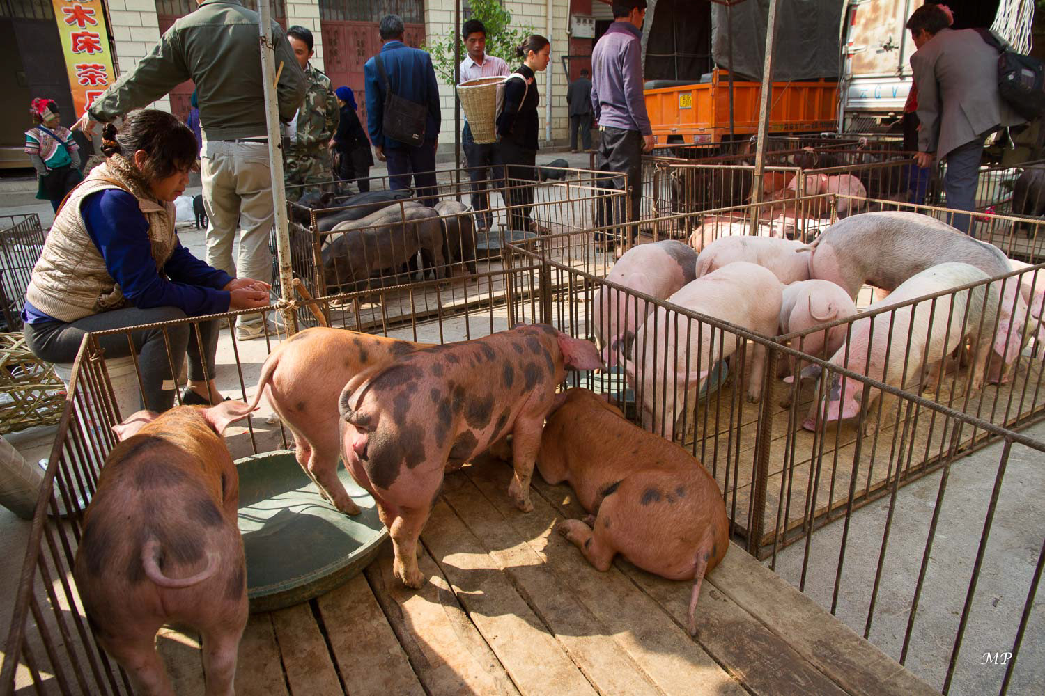 Yunnan - Yuanyang : marché de Laomeng
