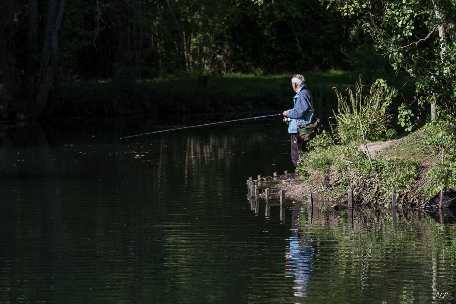 C’est à 1 km avant sa confluence avec la Loire que le profil de la rivière devient particulièrement intéressant pour  la pêche. En effet, le resserrement du lit, les nombreuses sources et les grands faisceaux de renoncules flottantes donnent une rivière puissante de plus de 30 mètres de large ou la pêche à la mouche  est appropriée : Truite, ombre, ablette, chevaine, vandoise, barbeau, brochet, perche, anguille ...