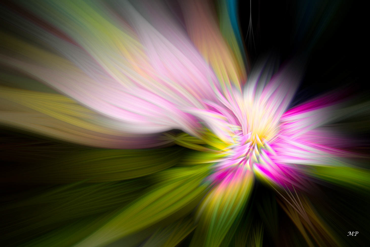 Dans un grand vent de fleur