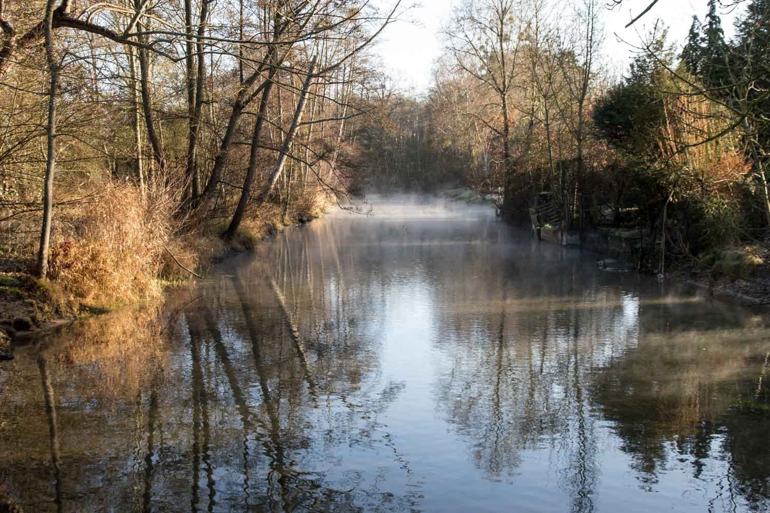 Pas de neige, ni de givre ce matin mais un froid polaire qui fait naître cette brume au-dessus de l'eau.