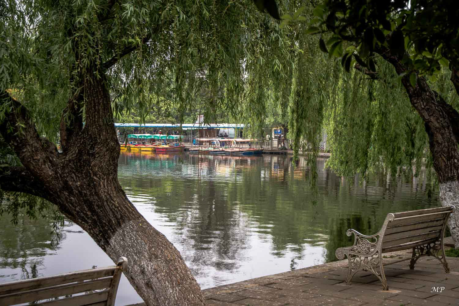 Yunnan - Kunming : Le Lac d'Emeraude est le poumon vert de la ville. Il s'anime dès le matin : Tai-Chi, Qi-Gong, Danses aux éventails, partie de mah-jong etc.