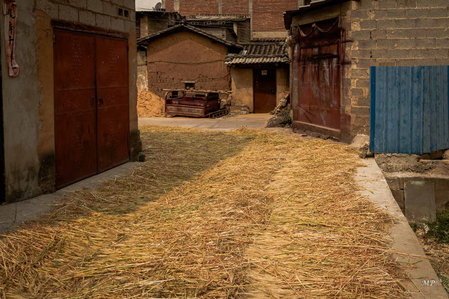 Yunnan - Xingmeng est un village monghol. Ici du blé est étalé sur la rue principale afin de le battre à chaque passage de véhicules ou piétons