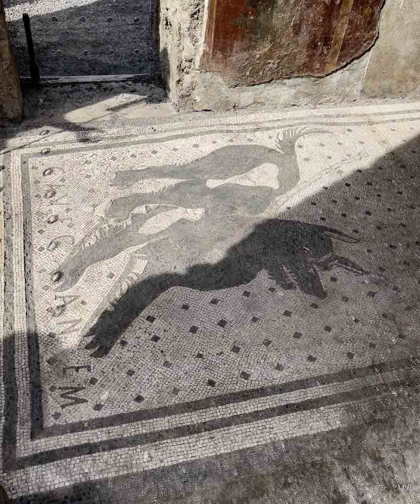 La maison du Poète Tragique