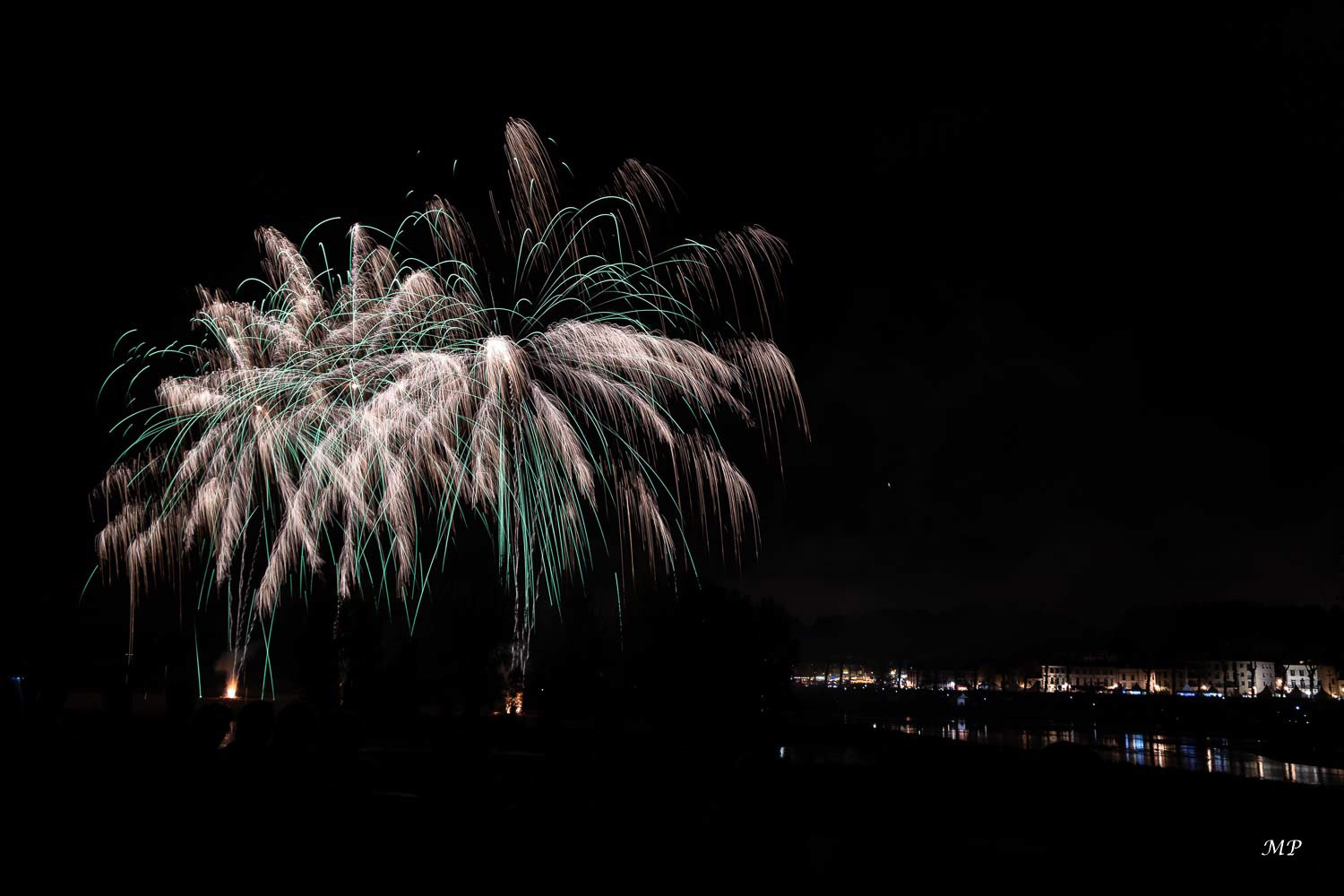Orleans - Festival de Loire