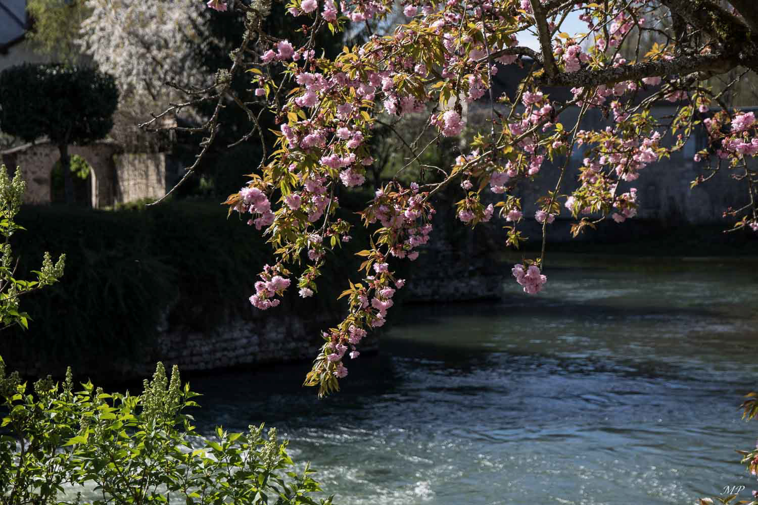 L’arrière du moulin des Tacreniers