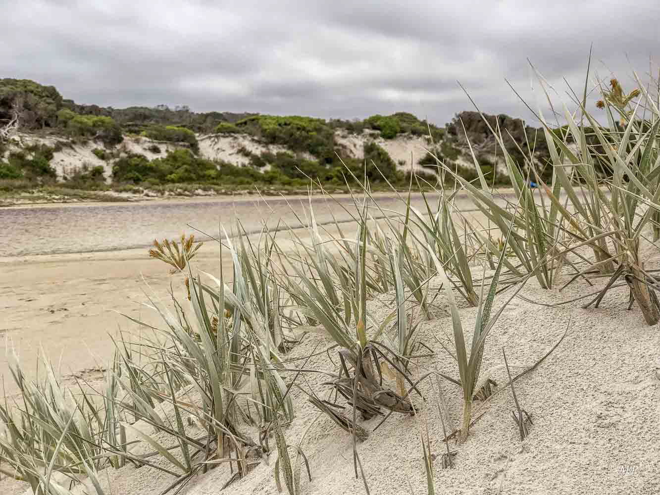 Kangaroo Island - Hanson Bay