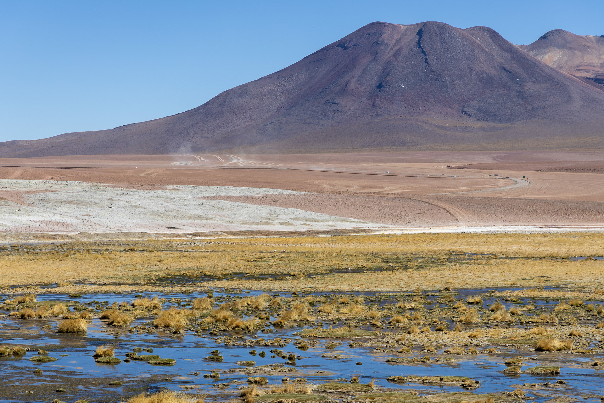 Atacama - L'Altiplano