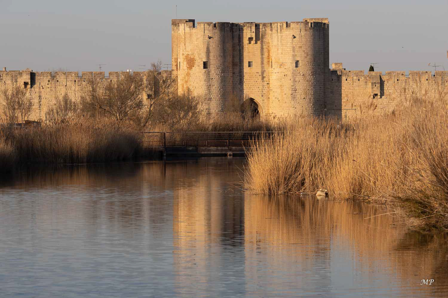 Camargue - Aigues-Mortes