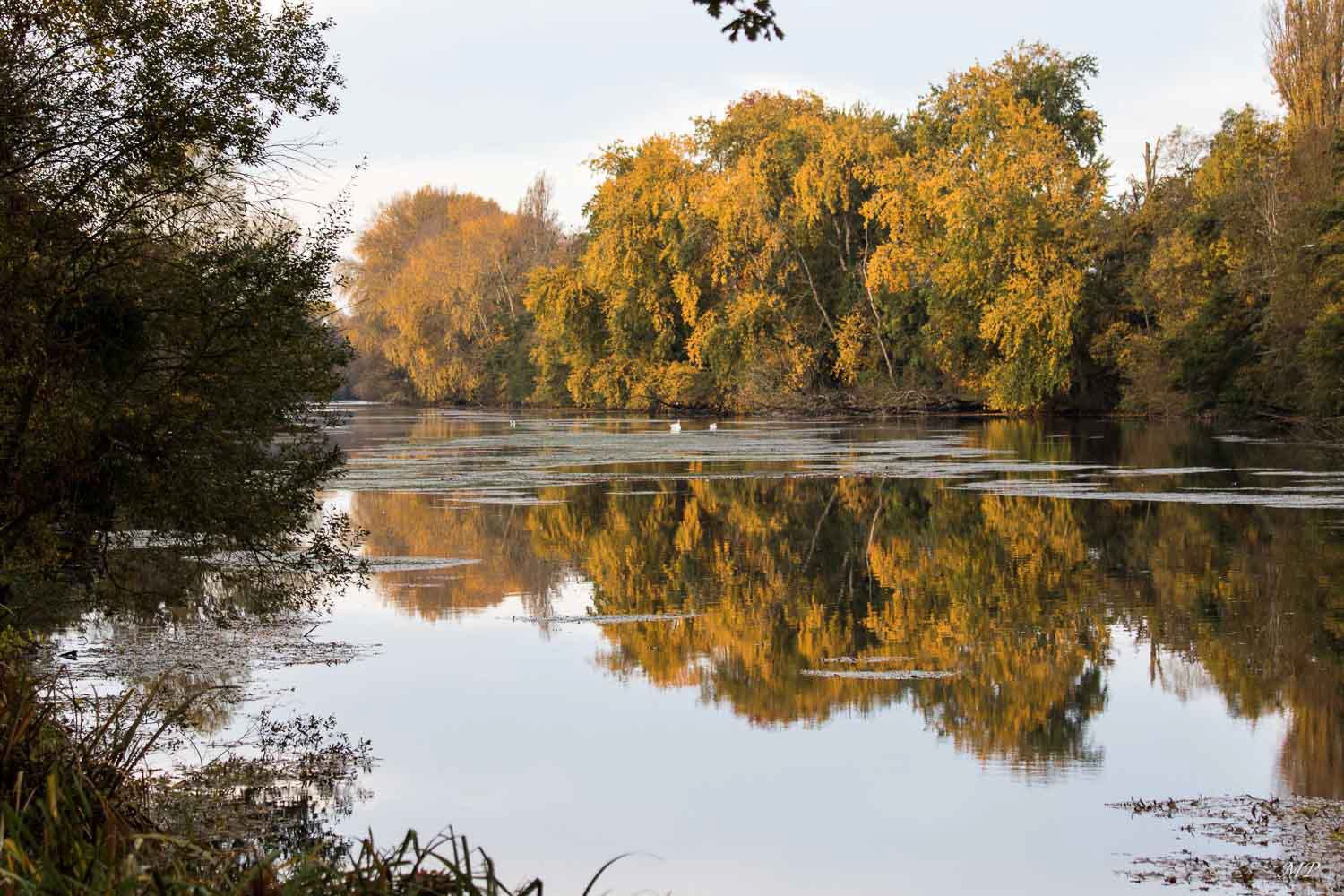 Couleur d'automne à Saint-Hilaire