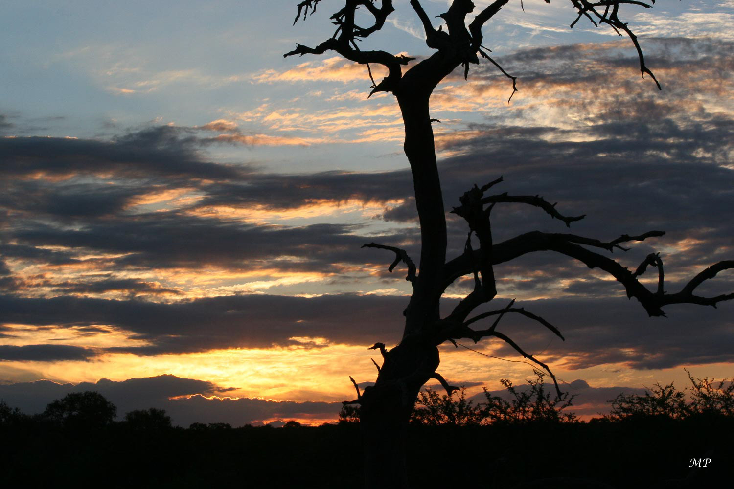 Parc Kruger - Il a été créé en 1899 et a ouvert ses portes au public en 1925. Il a une superficie de 20 000 km2 et c'est un immense réservoir d'animaux sauvages.
