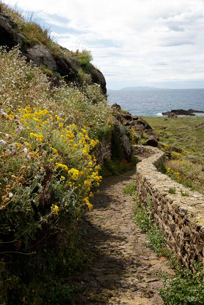 Castelsardo - Le chemin sous les remparts