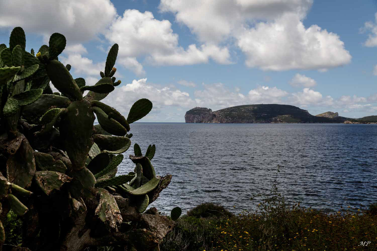 Baie de Porto Conte - A une dizaine de km d'Aghero cette baie est une zone protégée de 5000ha. Ici vue sur le Capo Caccia