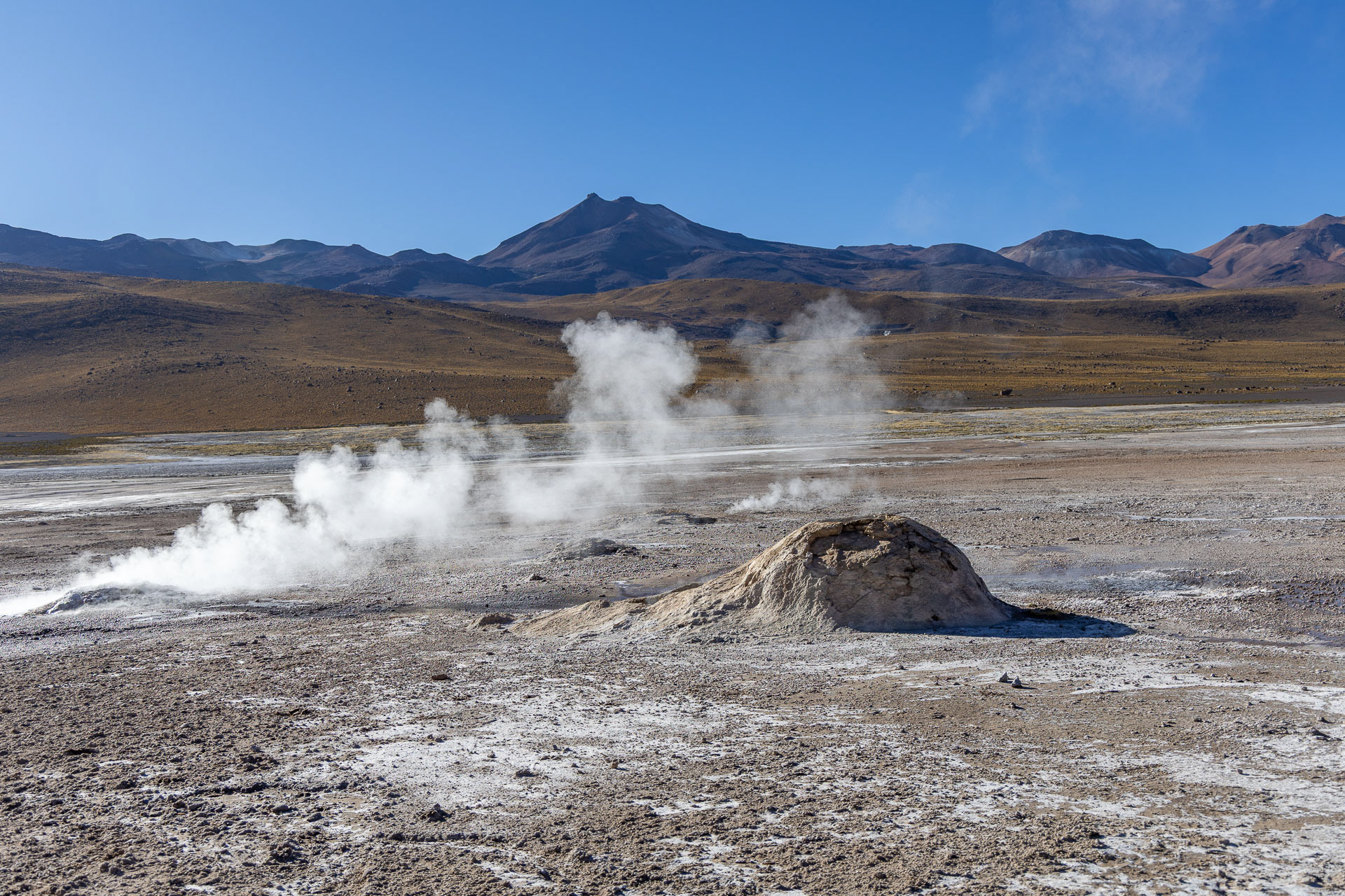 Atacama - les geysers d'El Tatio
