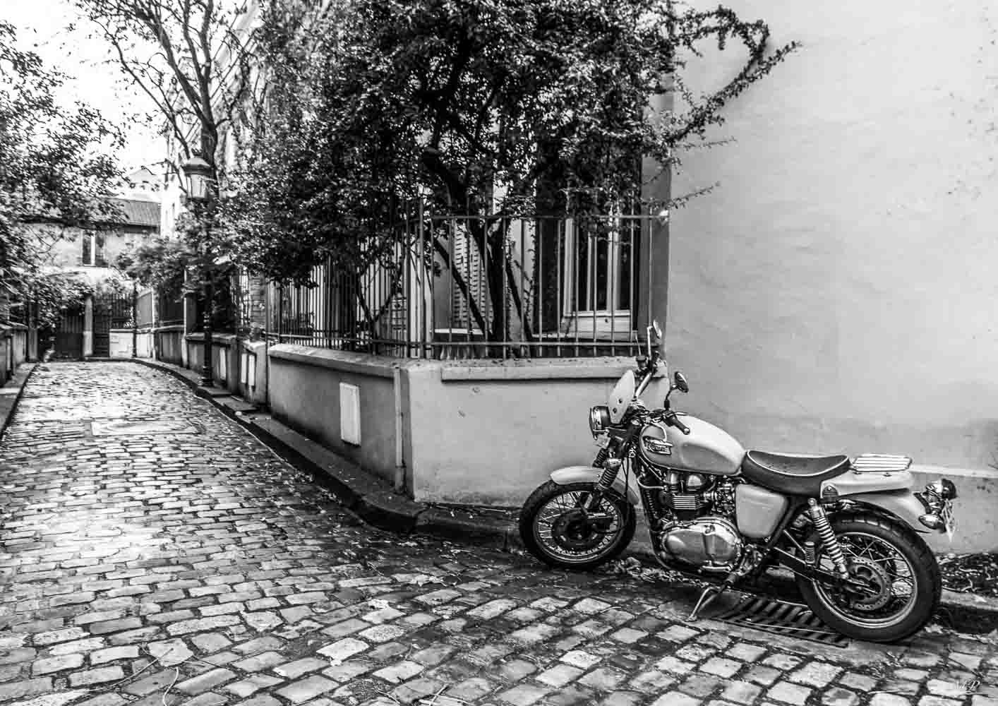 Square des peupliers (XIIIe)