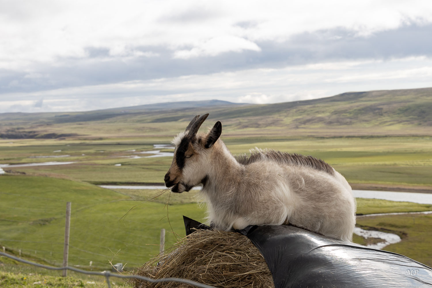 La ferme de Stóra-Ásgeirsá
