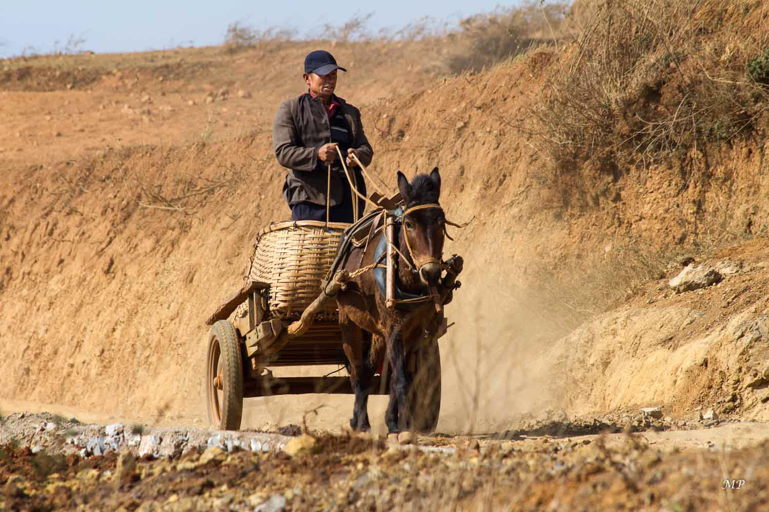 Yunnan - Dong Chuan : La plupart des habitants se déplacent encore en voiture à cheval.... mais ils ont tous un téléphone mobile !
