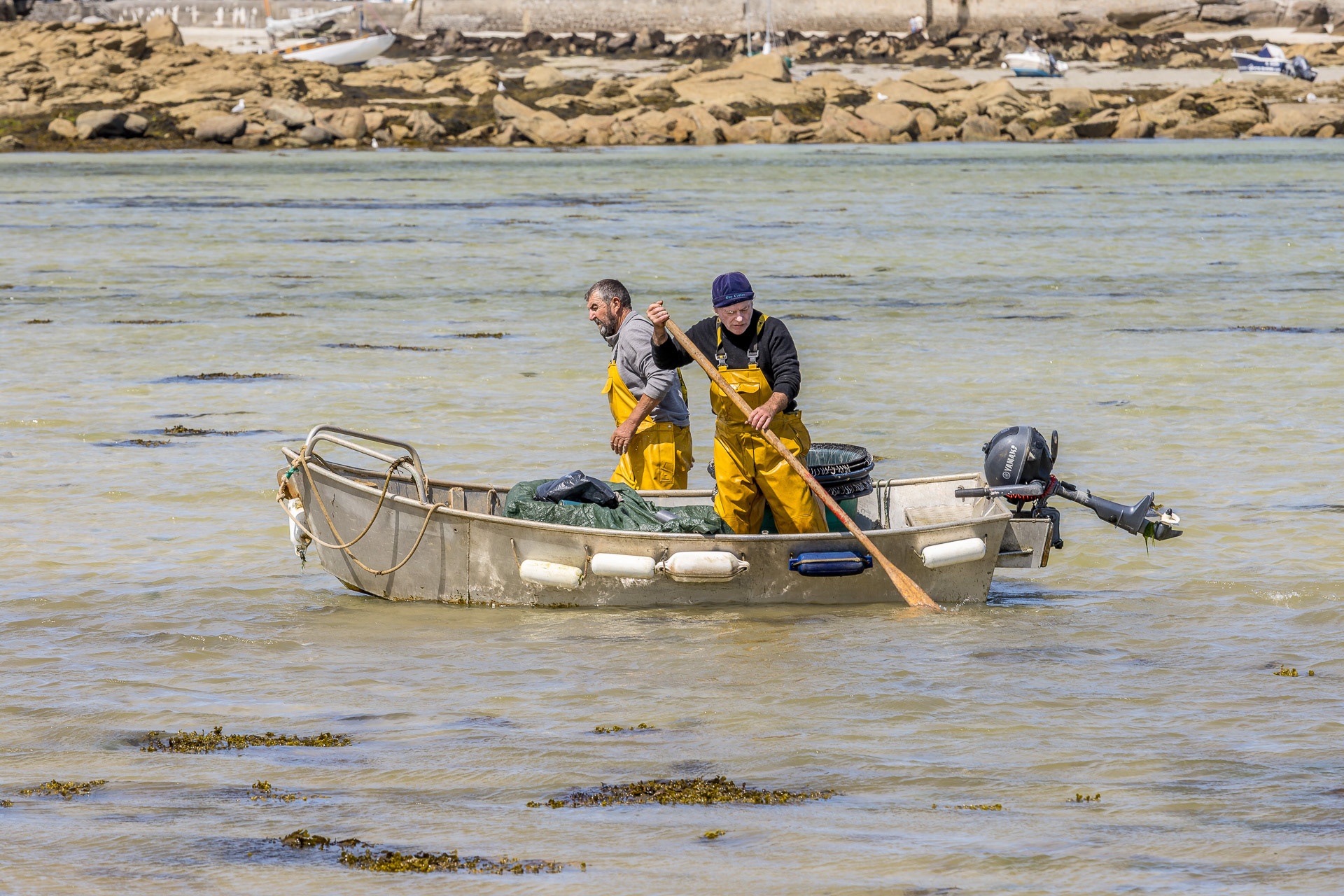 Finistère - Brignogan-Plages : retour de pêche