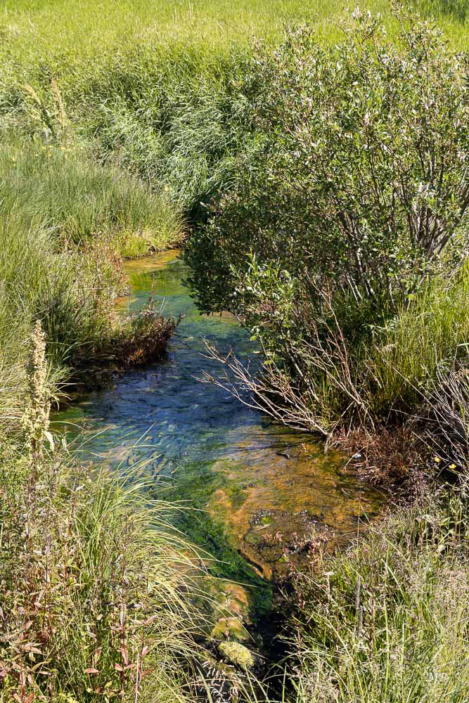 Vallée de la Hvítá - Source chaude de Deildartunguhver
