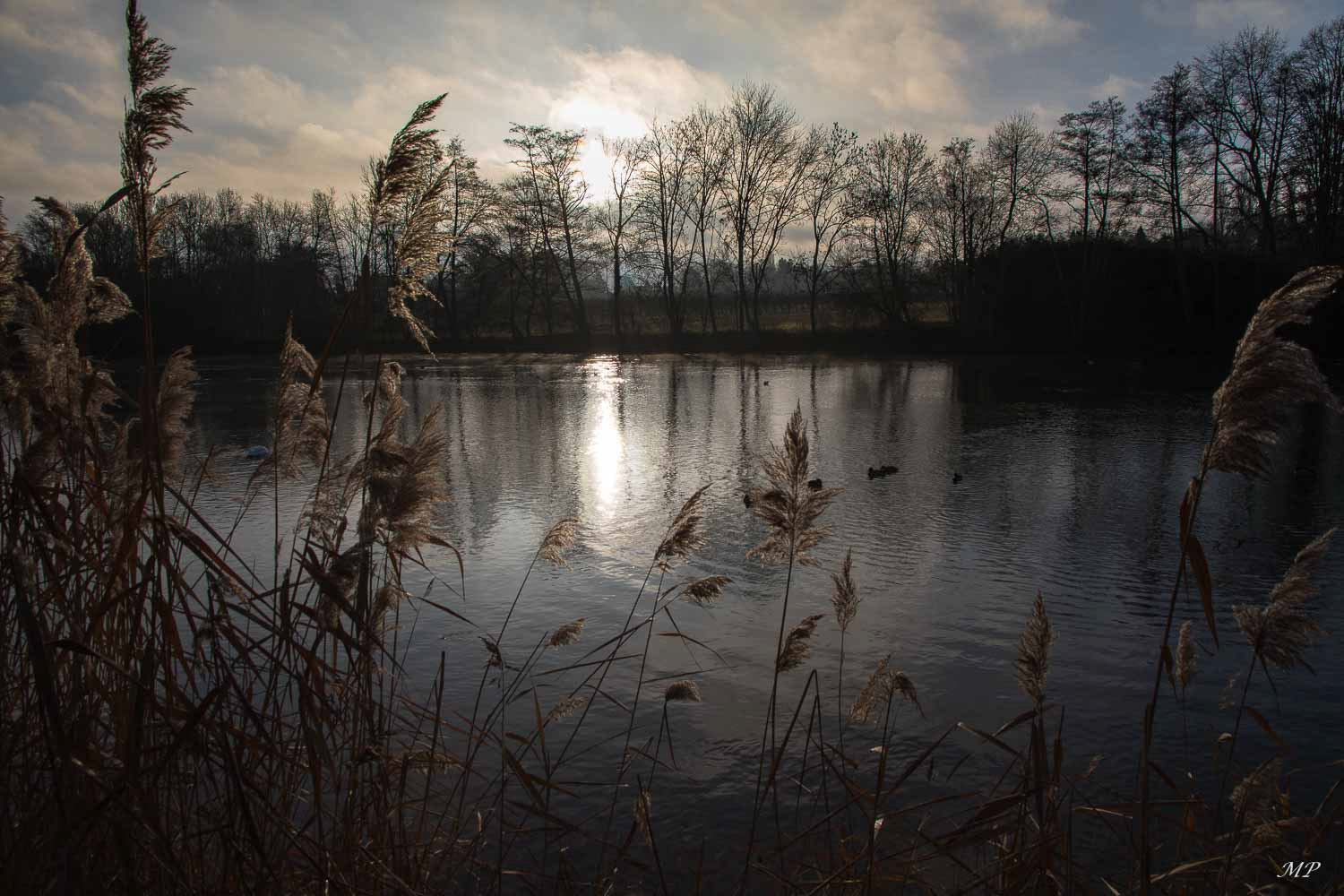 Lever du jour sur le Loiret à St Hilaire 