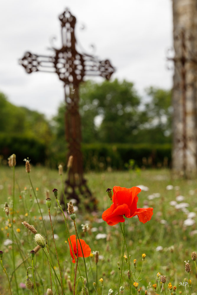 Yèvre-le-Châtel (45)