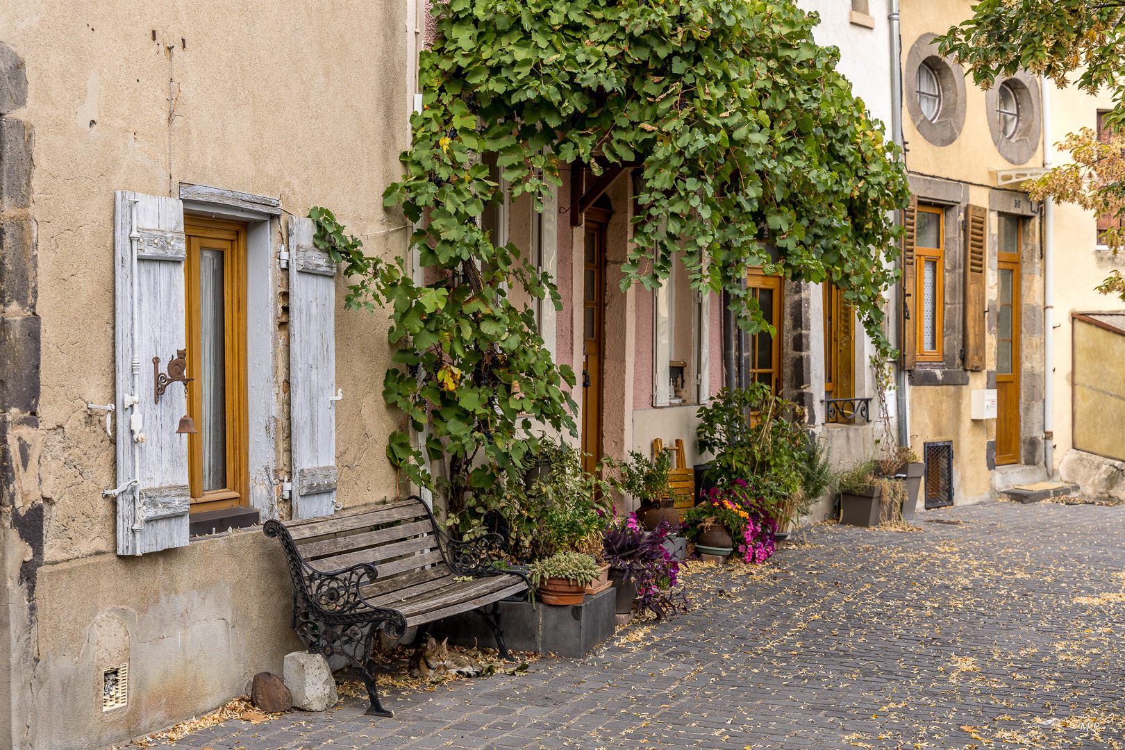 Auvergne - MontFerrand