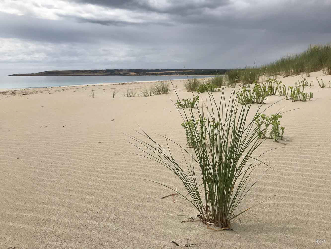 L'Île Kangourou se situe au large de l'Australie-Méridionale, dans l'océan Indien à 13 kilomètres de Cape Jervis, à l'extrémité de la Péninsule Fleurieu.  Plus d'un tiers de l'île est protégé via des réserves naturelles qui accueillent une faune indigène comme des lions de mer, des koalas, des kangourous  et diverses espèces d'oiseaux. À l'ouest, le parc national de Flinders Chase est connu pour ses colonies de manchots et ses spectaculaires formations rocheuses en bord de mer, comme les rochers sculptés de Remarkable Rocks ou l'arche d'Admiral's Arch et ses stalactites.
