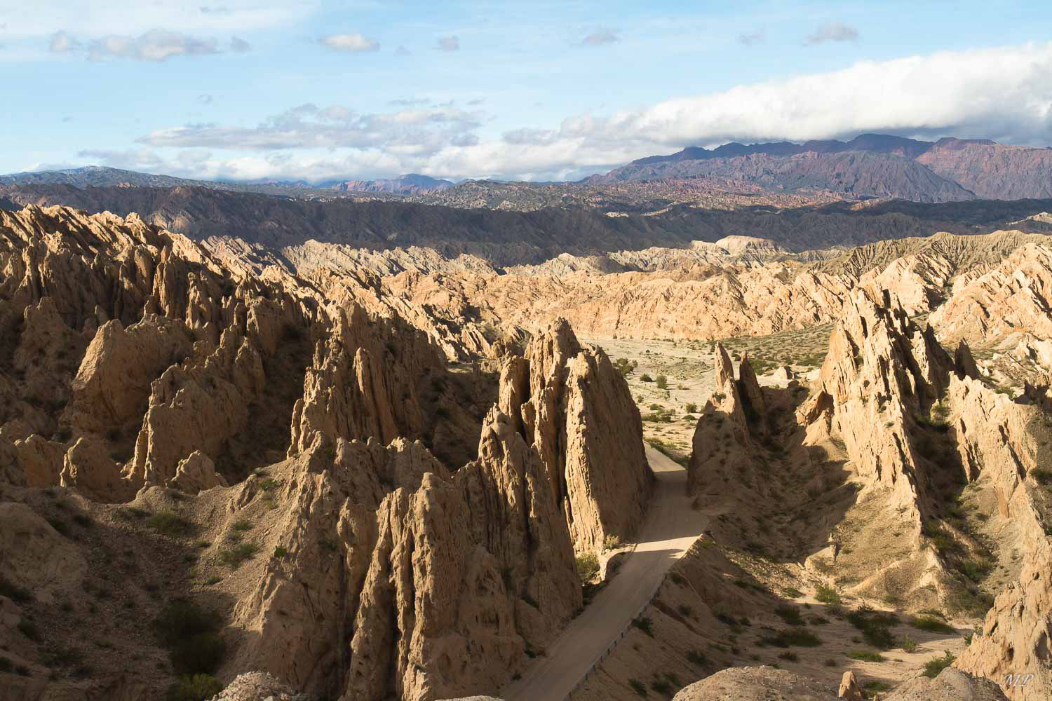 L'Ouest argentin: Le canyon d'Angastaco