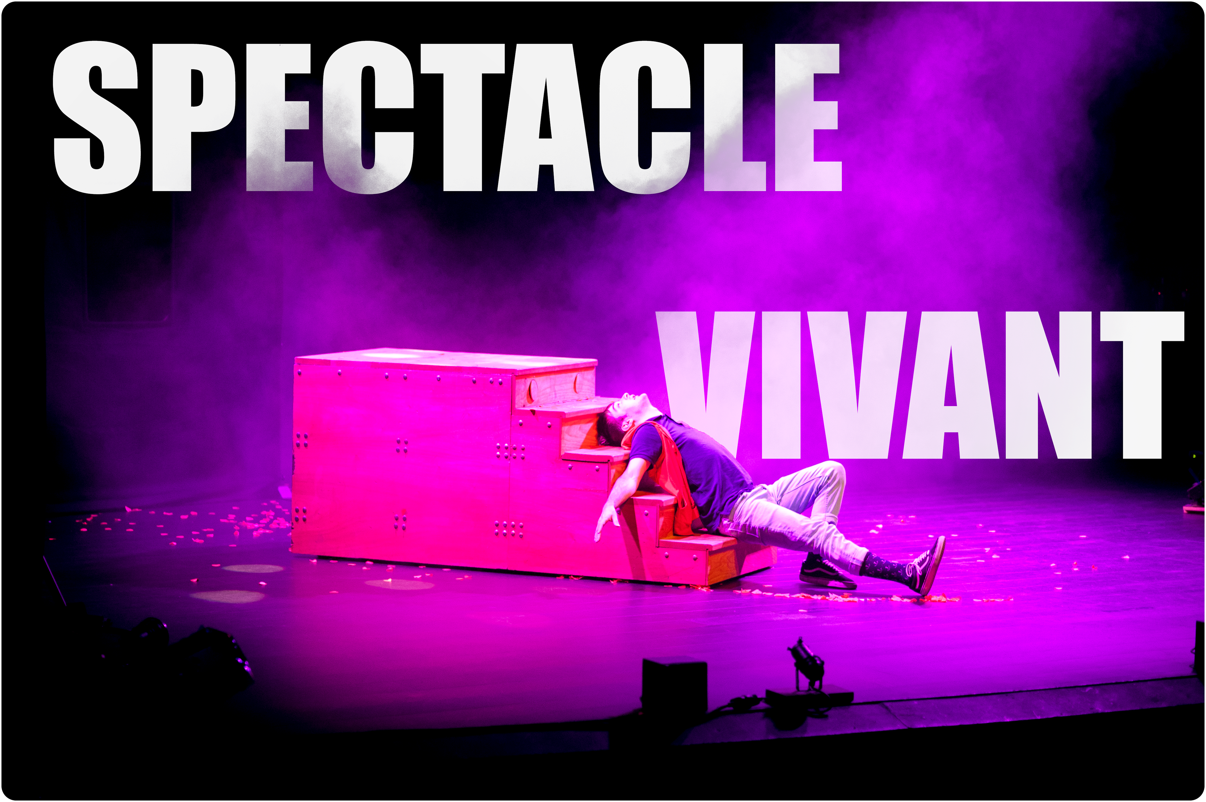 Galerie Spectacle Vivant