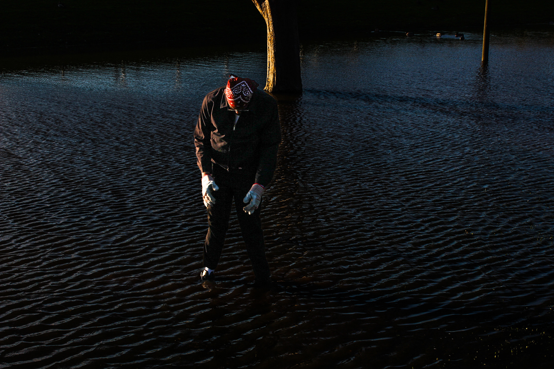 Cover photo for Branden's album 'Habitat' 