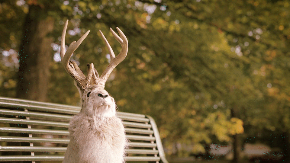 Promotional Gif for social media campaign