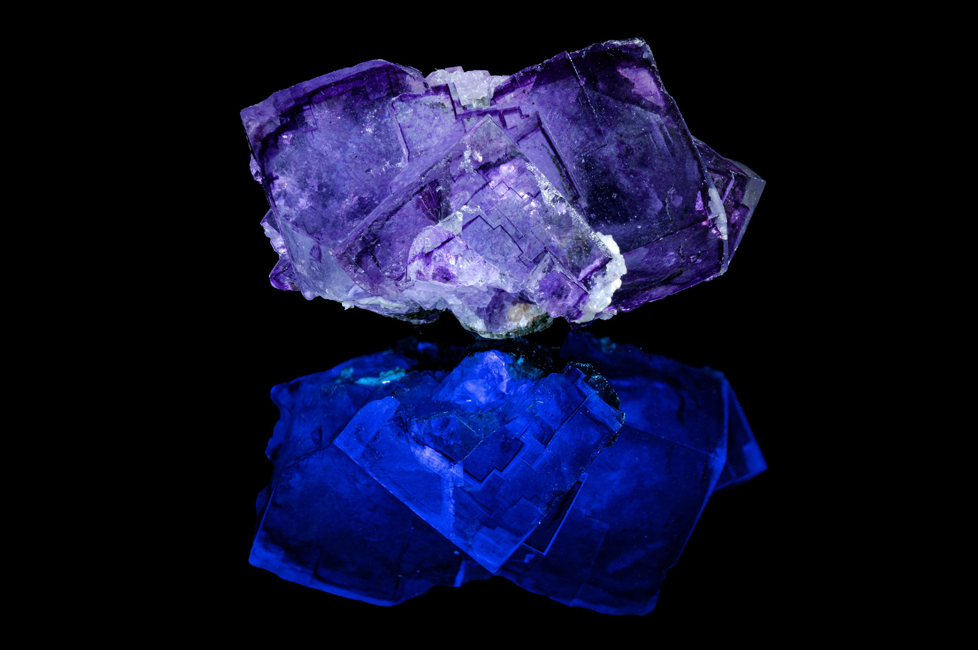 Normal Light Above | UV Light Reflection Below