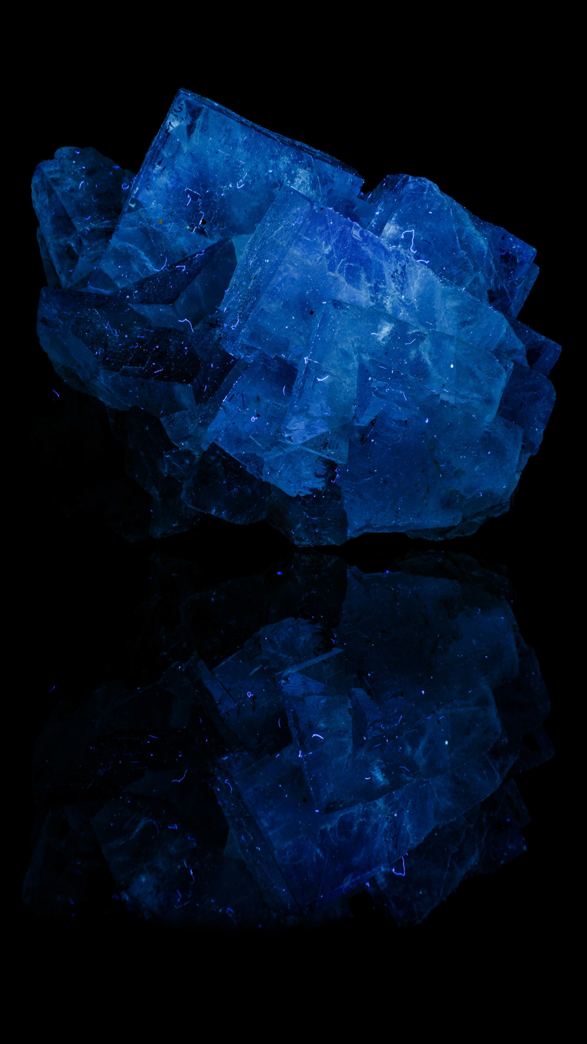 Pale Yellow Fluorite | La Viesca Mine, Huergo, Siero, Asturias, Spain 