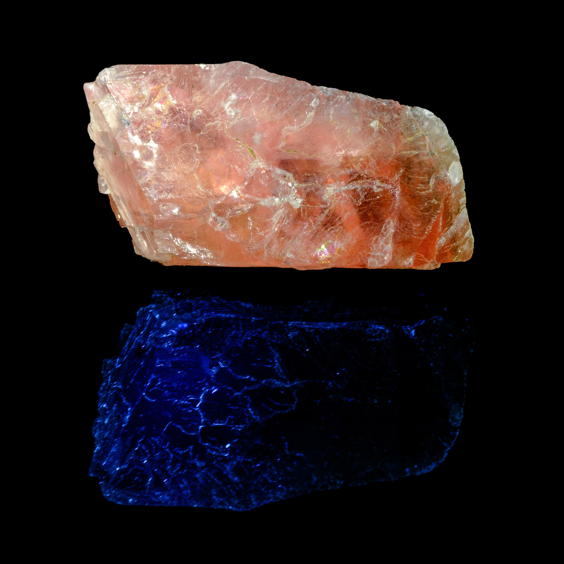 Normal Light Above | UV Light Reflection Below