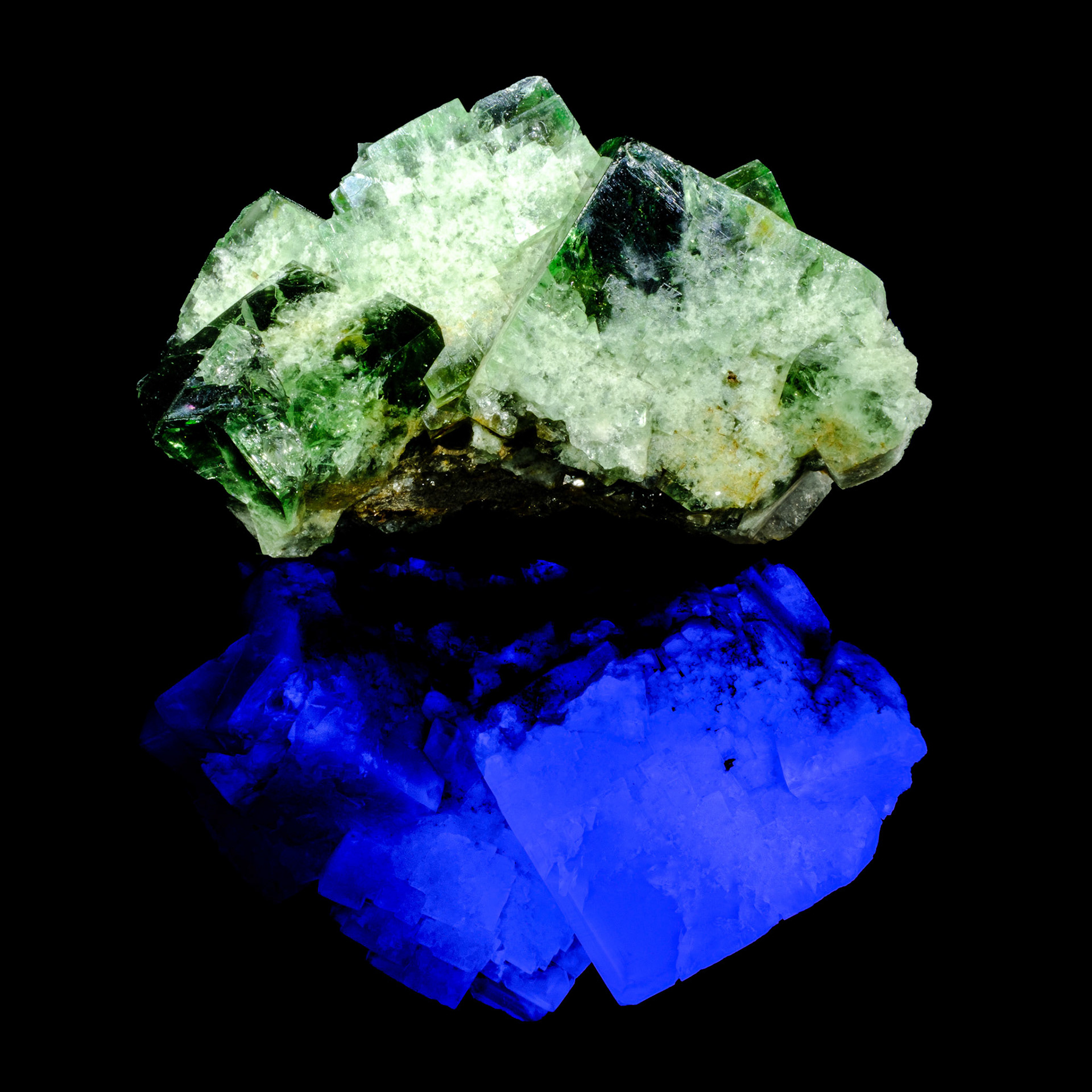 Normal Light Above | UV Light Reflection Below