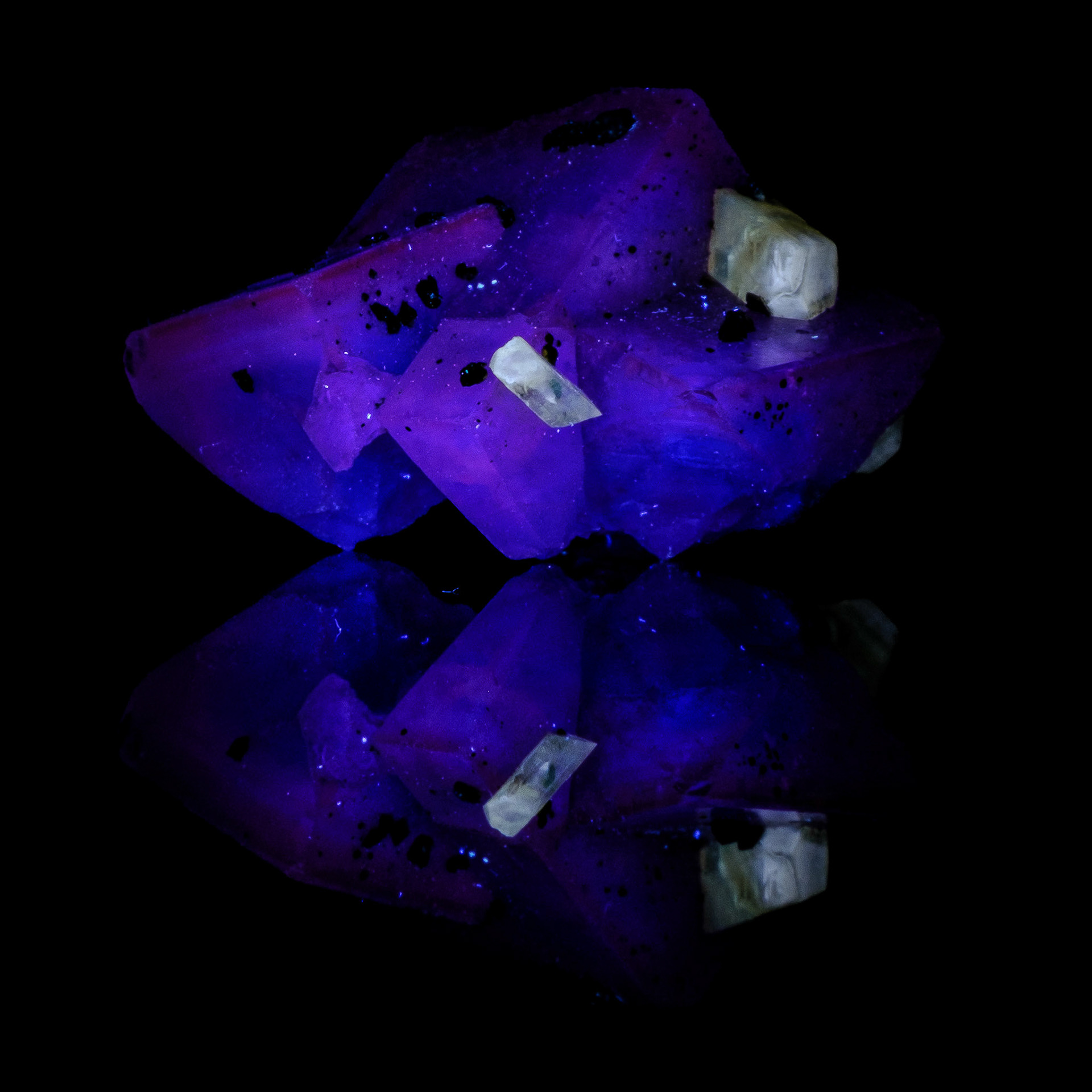 Saxony Fluorite with Chalcopyrite | Bergmännisch Glück, Germany