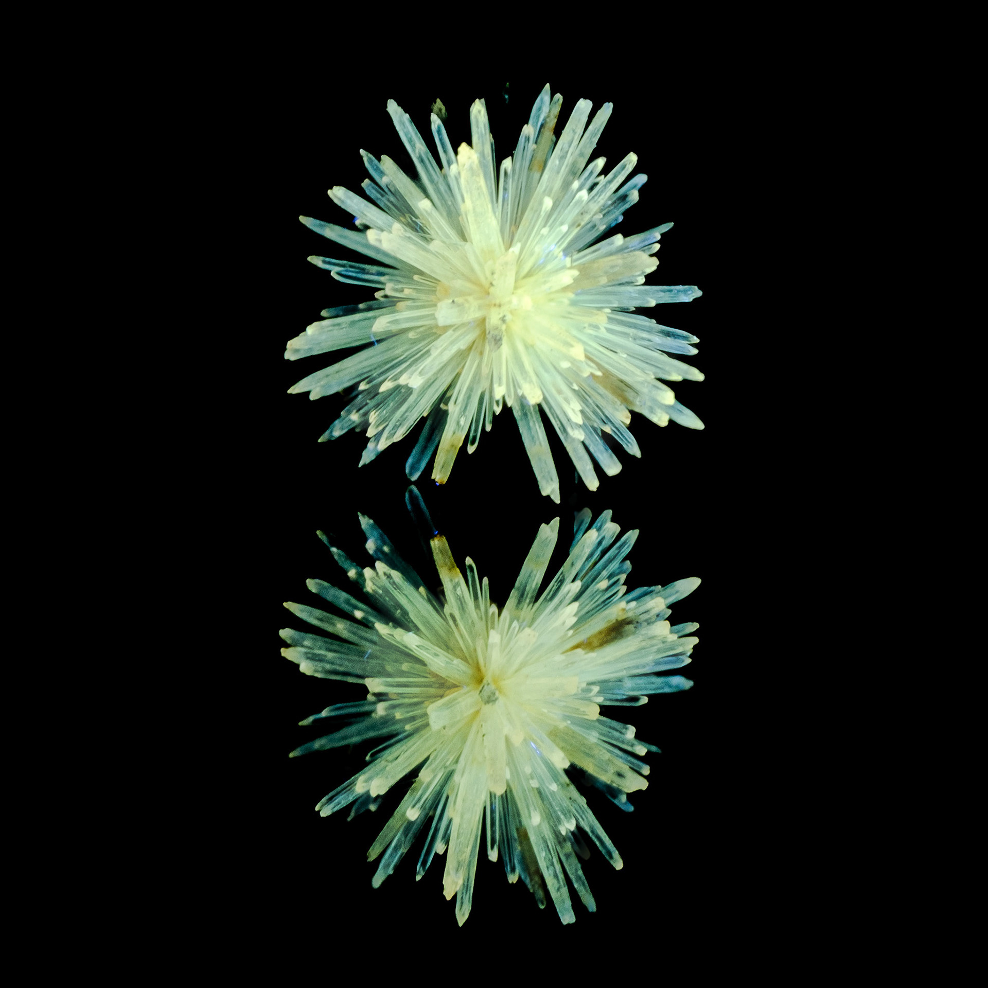 Acicular Aragonite | La Serna, Toledo, Castile-La Mancha, Spain