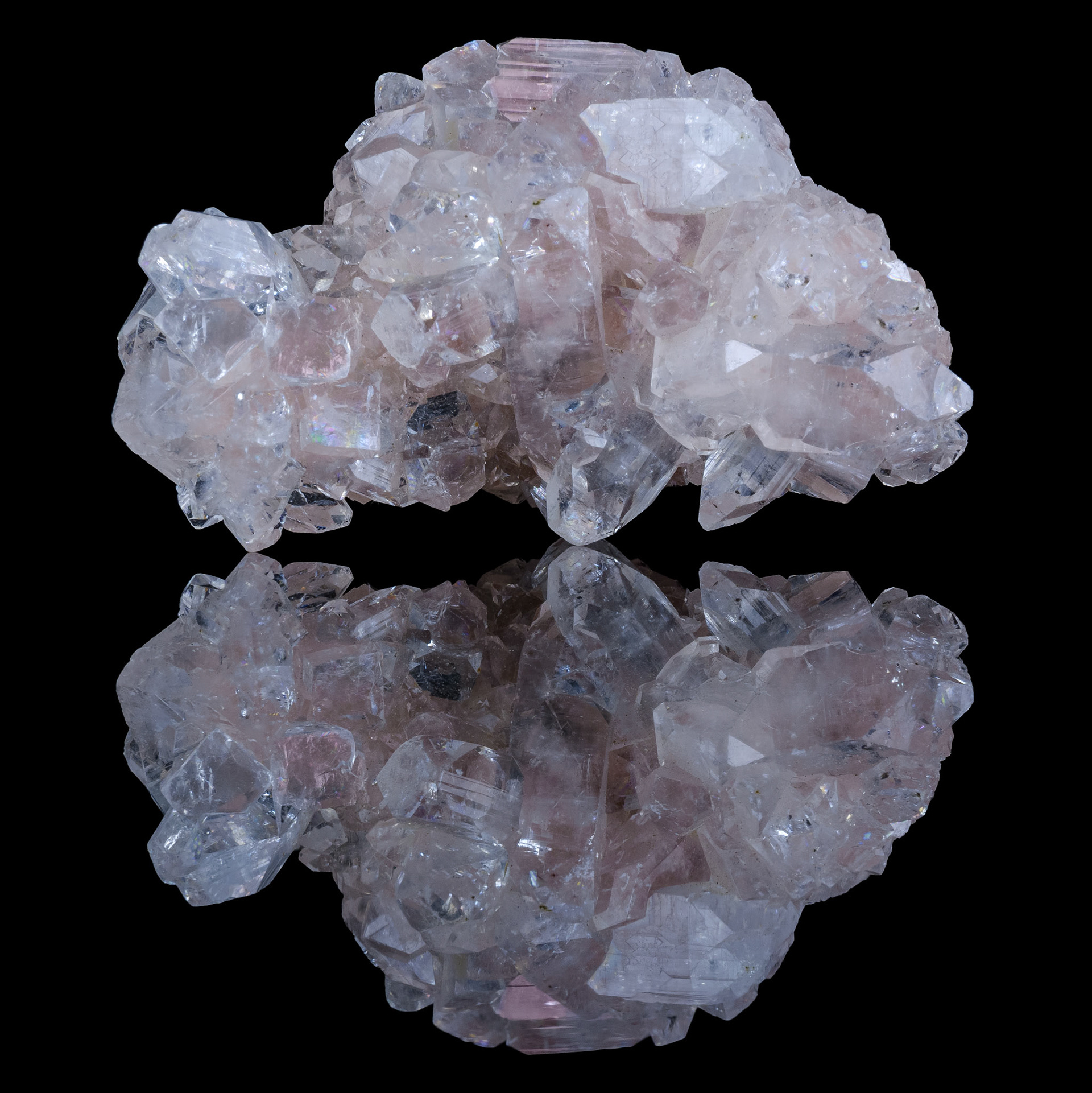 Pink Diamond Apophyllite | India 