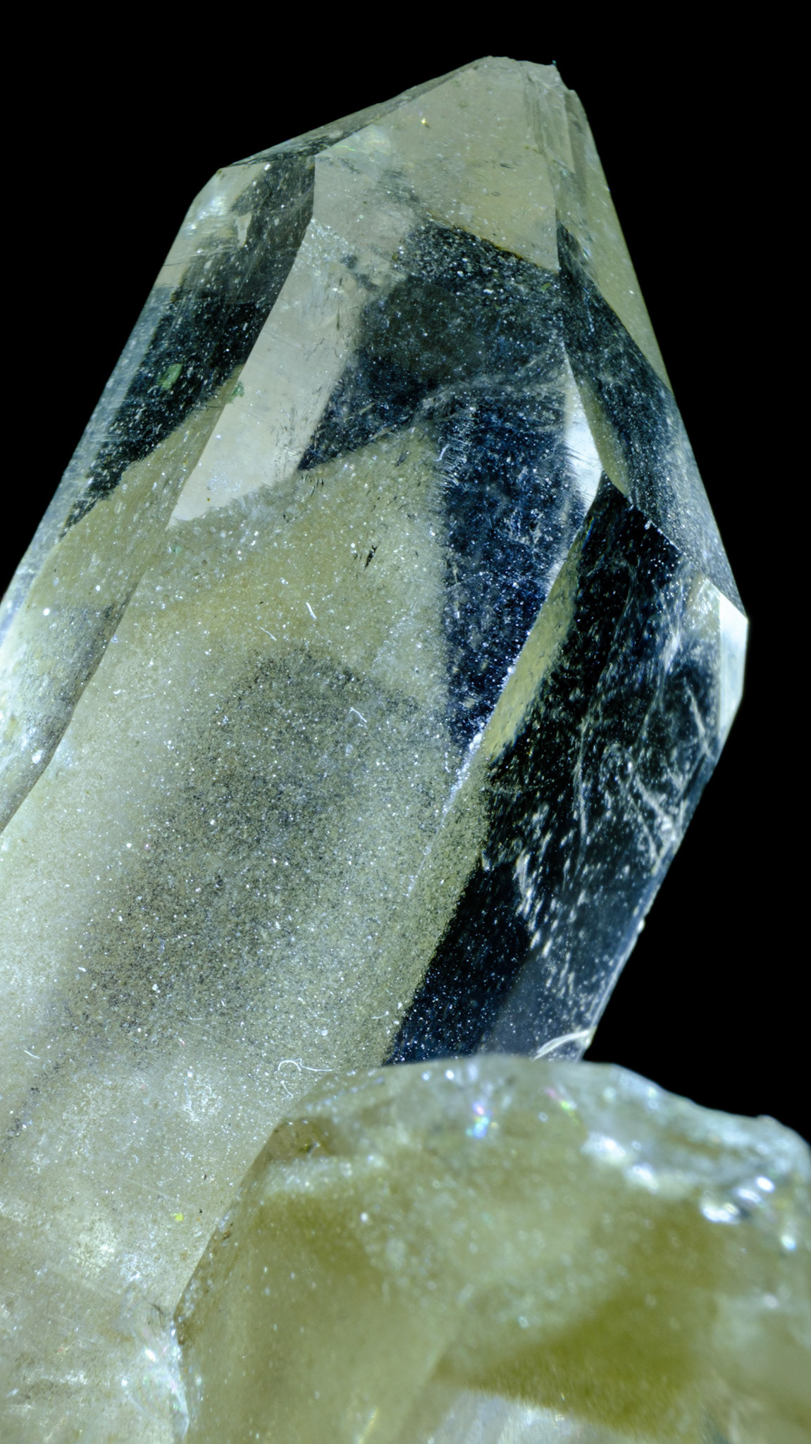 Alpine Phantom Quartz | Val Gronda da Cavrein, Val Russein, Vorderrheintal, Graubünden, Switzerland