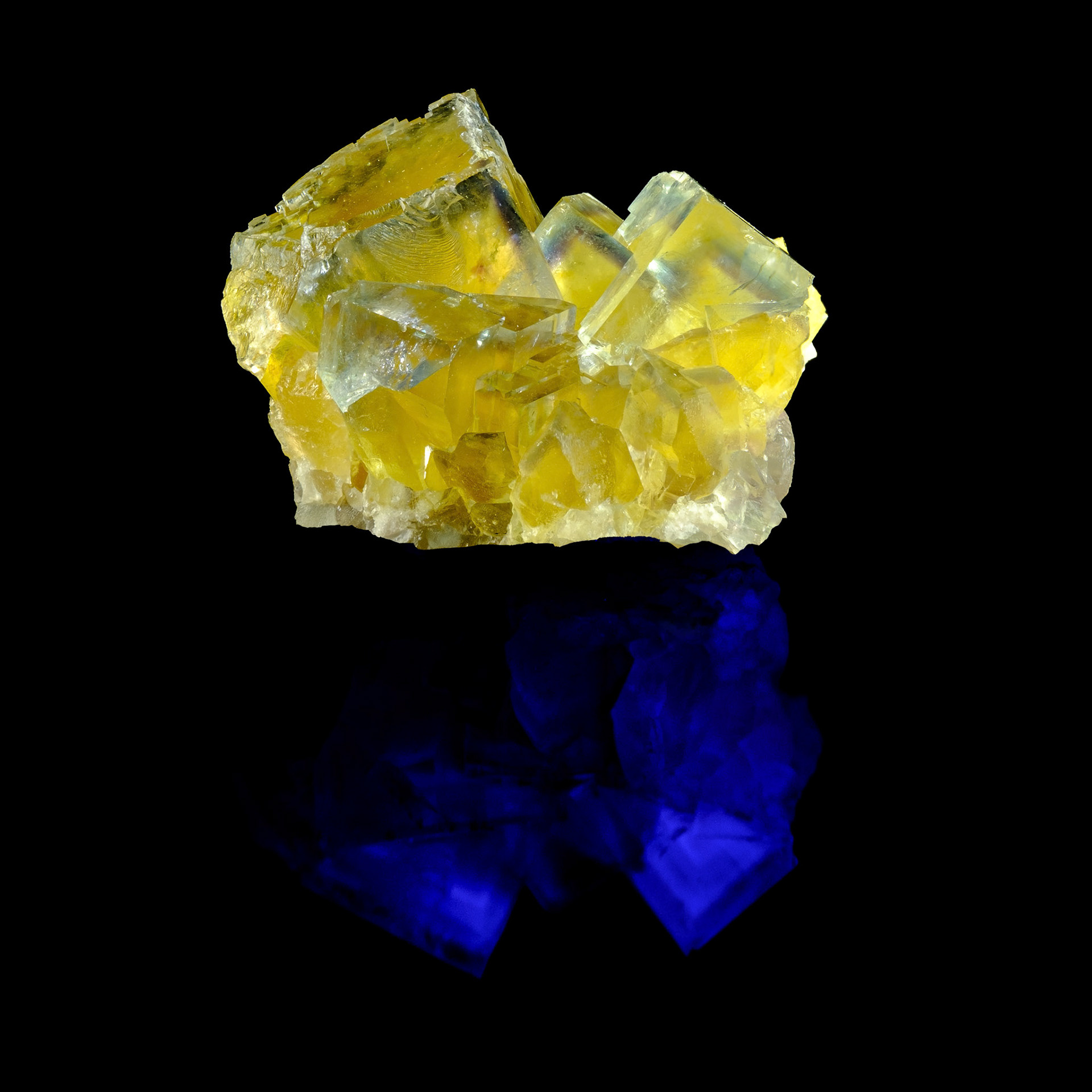 Normal Light Above | UV Light Reflection Below