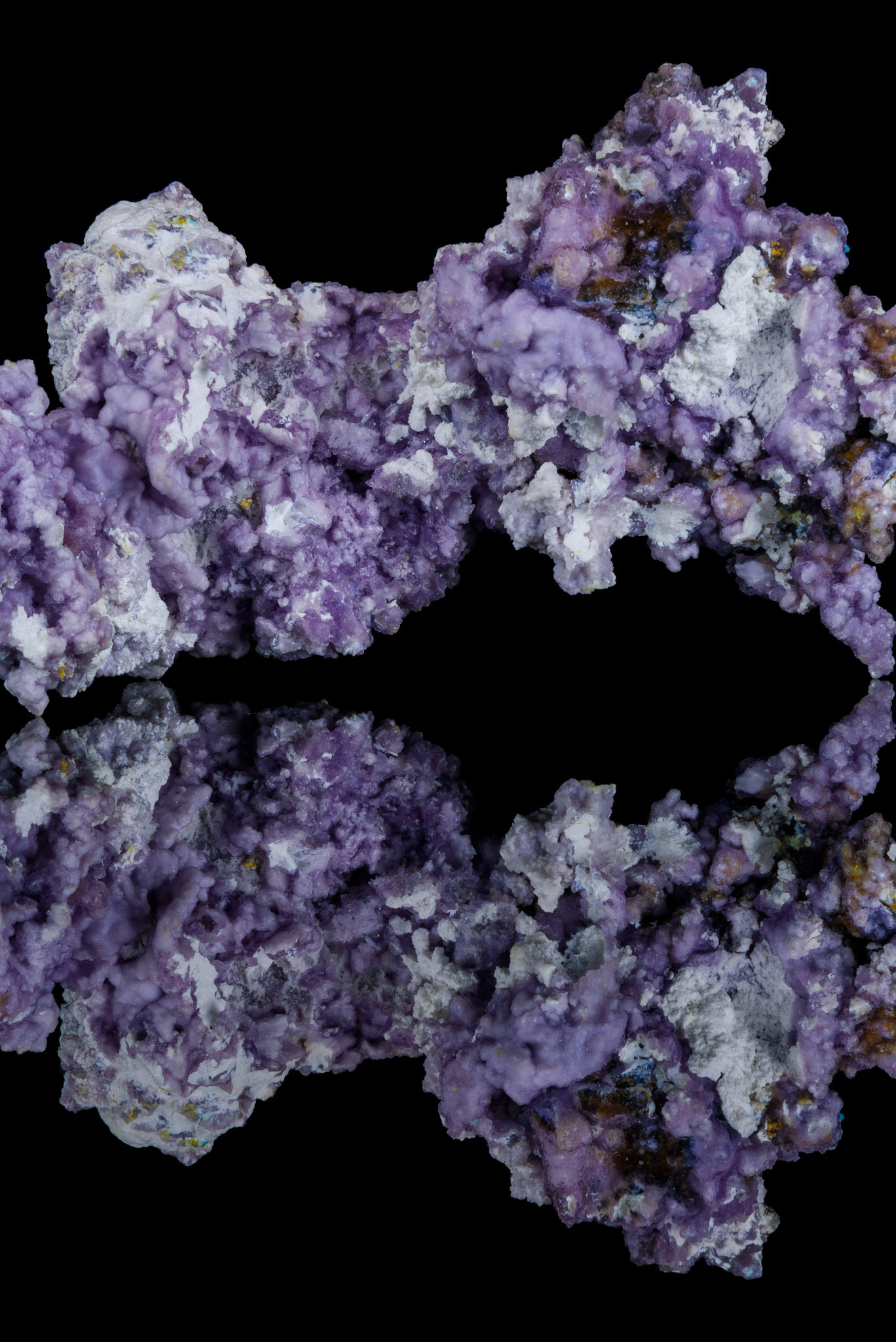 Purple Creedite  | Yunnan, China