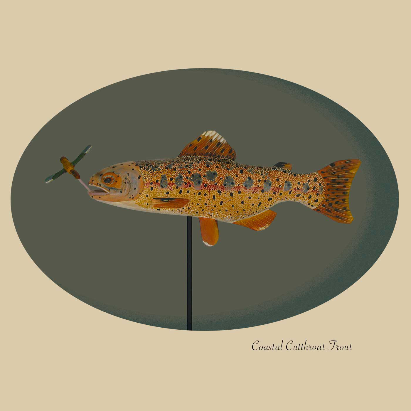 Coastal Cutthroat Trout