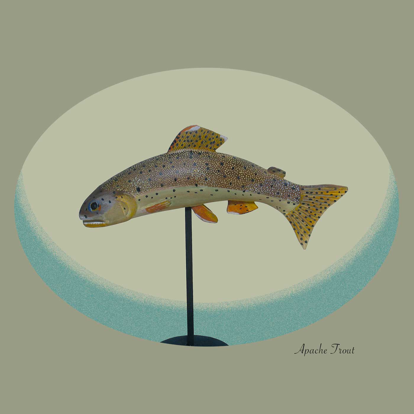 Apache Trout