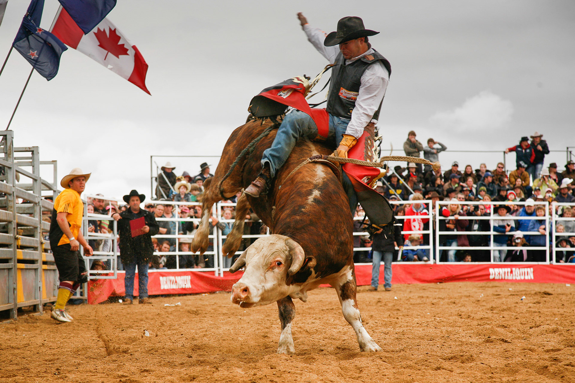 Deniliquin Ute Muster. October 3, 2009. Deniliquin, NSW.